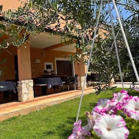 Bed and breakfast Danica